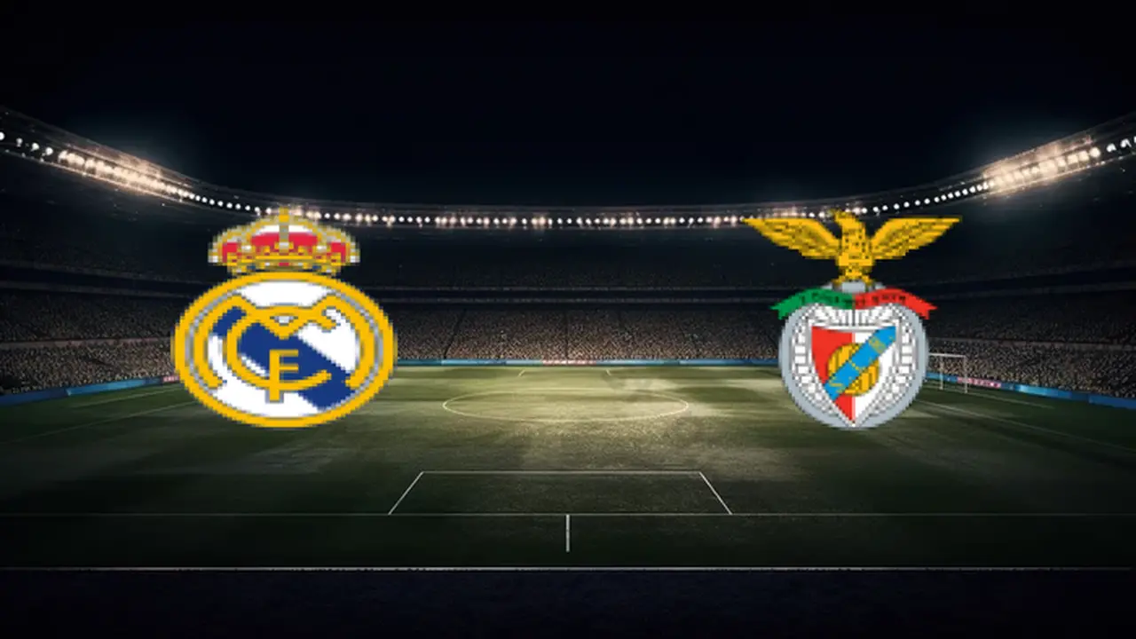 صدام العمالقة بمدريد.. موعد مباراة ريال مدريد وبنفيكا والناقل الحصري بالبطولة الأوروبية